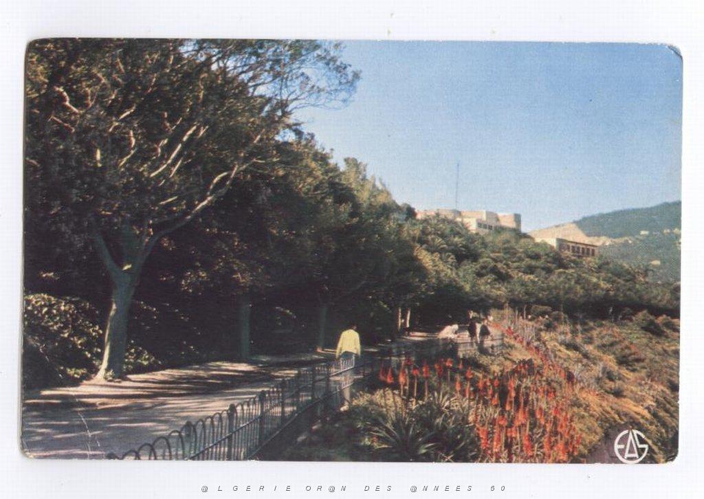ORAN PROMENADE DE L ETANG.jpg
